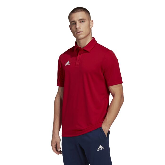 adidas Entrada Polo Adult